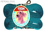 רצועת אילוף 4+6