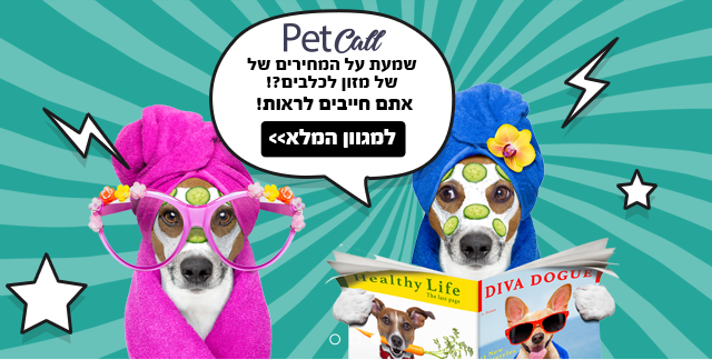 מזון לכלבים