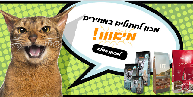 מזון לחתולים