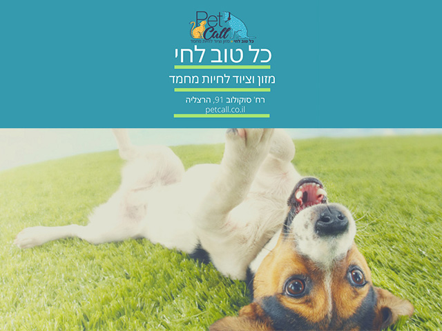דף חדש